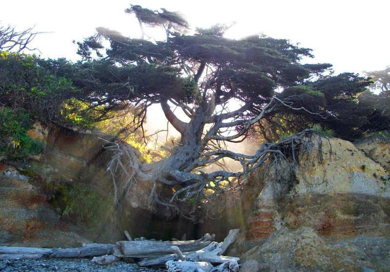 8018_301174979972193_100002390802732_655725_124017796_n