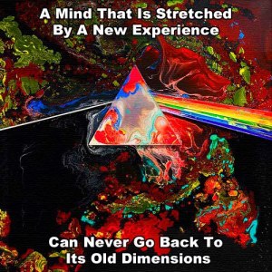 182467_162055047282666_351773829_n