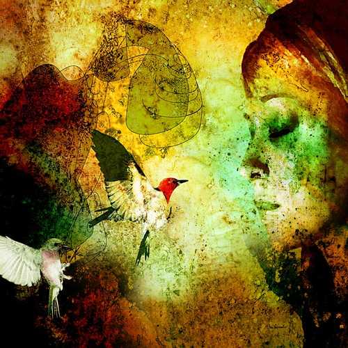 Van-Renselar-Abstract-art-Abstract-art