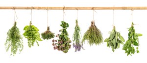 herbshanging-980px-1